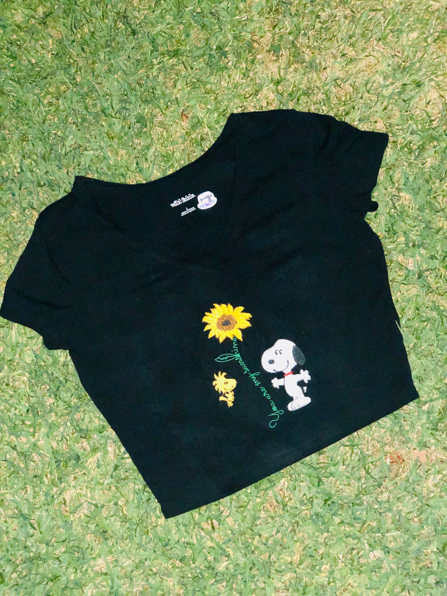 You Are My Sunshine Parody Dog and Bird