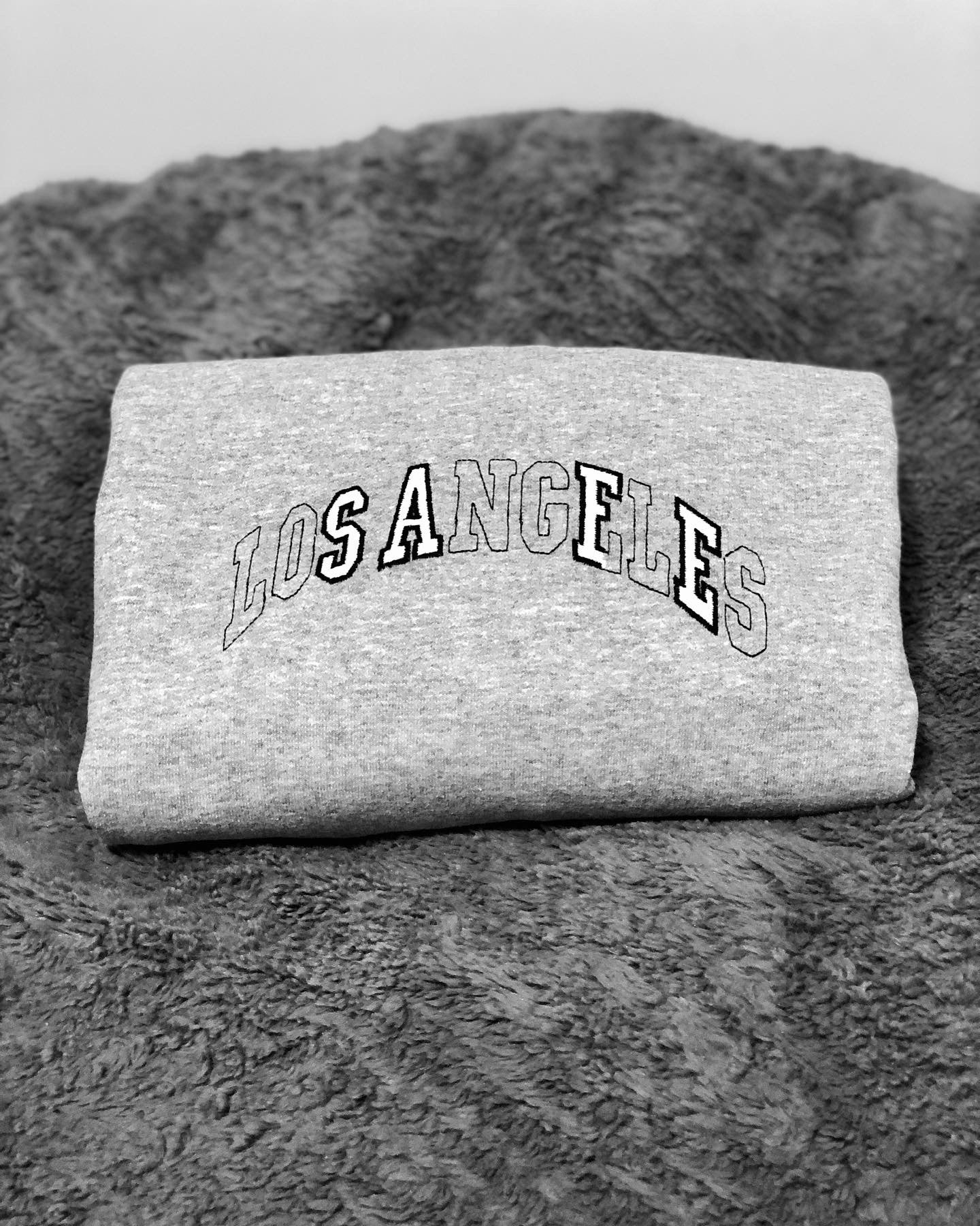 Los Angeles 'SAFE' Embroidered Crewneck